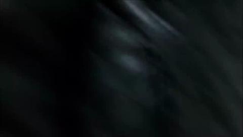 32553