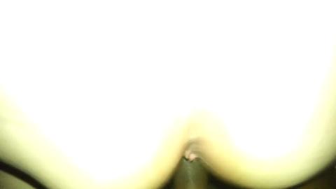 46042