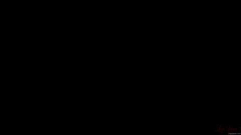 45547