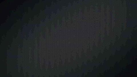 50464