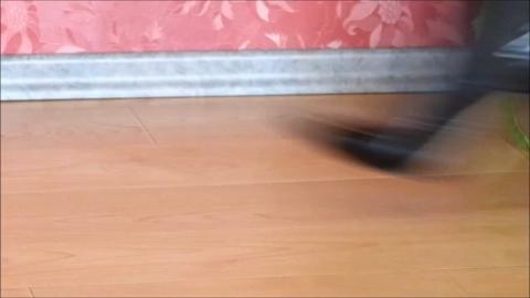 21481